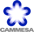 Logo de Cammesa